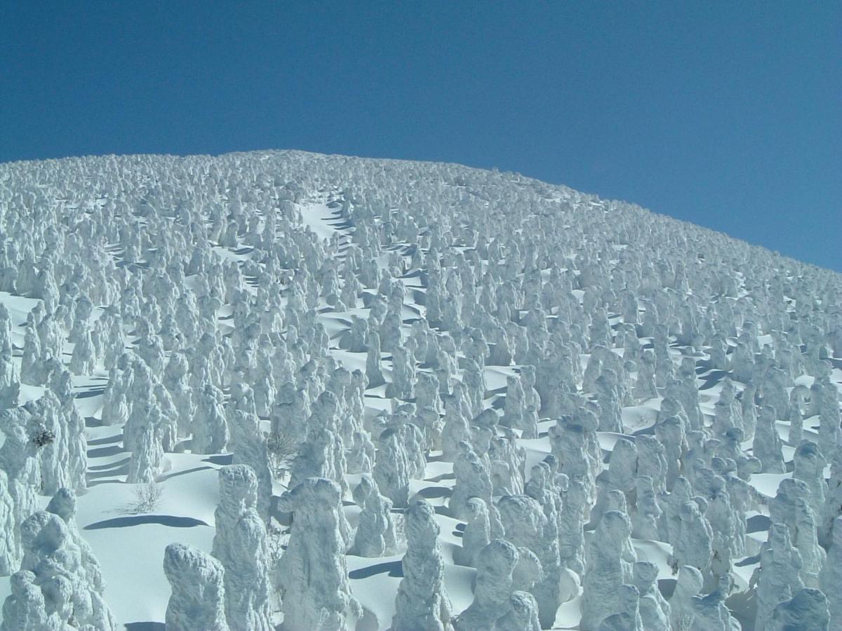 Le Vert Zao Yamagata  Bagian luar foto